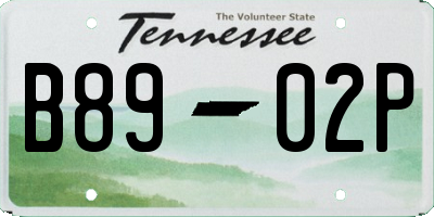 TN license plate B8902P