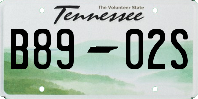 TN license plate B8902S