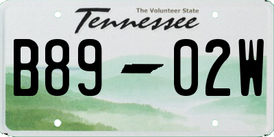 TN license plate B8902W