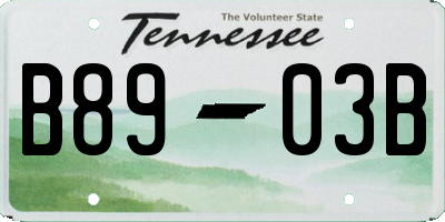 TN license plate B8903B