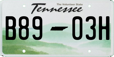 TN license plate B8903H