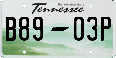 TN license plate B8903P
