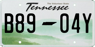 TN license plate B8904Y