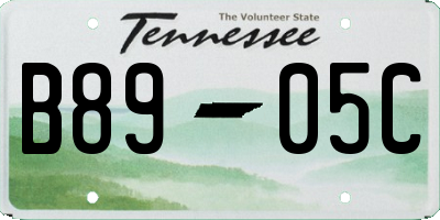 TN license plate B8905C