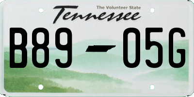 TN license plate B8905G
