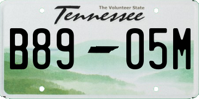 TN license plate B8905M