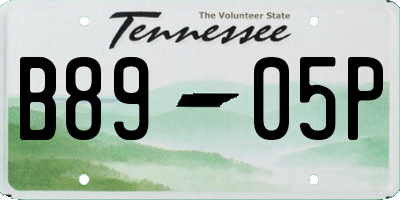 TN license plate B8905P