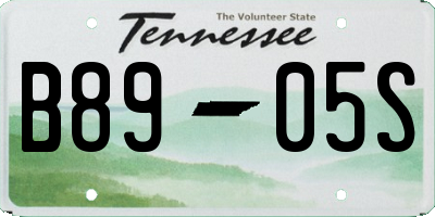 TN license plate B8905S