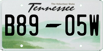 TN license plate B8905W