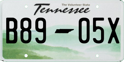 TN license plate B8905X