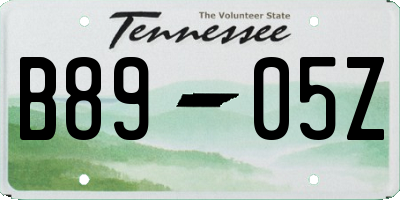TN license plate B8905Z
