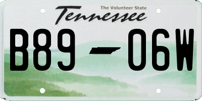 TN license plate B8906W