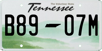 TN license plate B8907M
