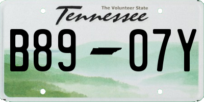 TN license plate B8907Y