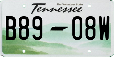 TN license plate B8908W