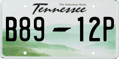 TN license plate B8912P