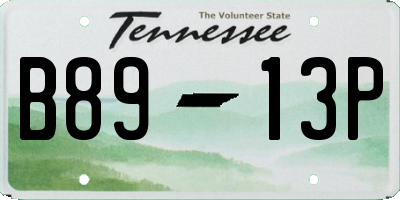 TN license plate B8913P