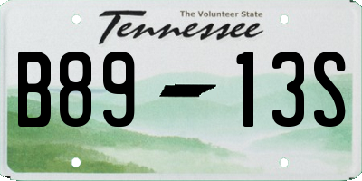 TN license plate B8913S