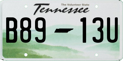 TN license plate B8913U