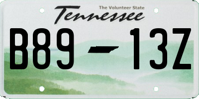 TN license plate B8913Z