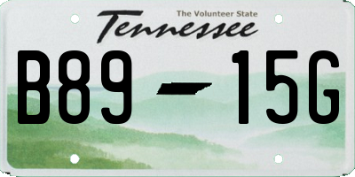TN license plate B8915G