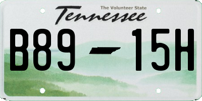 TN license plate B8915H