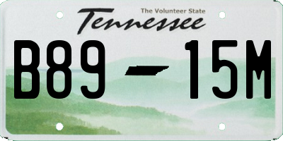 TN license plate B8915M
