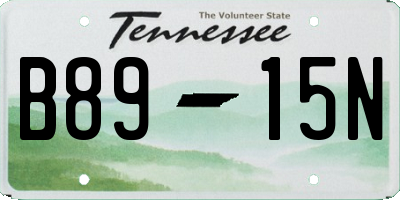 TN license plate B8915N
