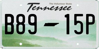 TN license plate B8915P