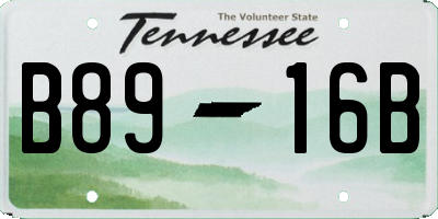 TN license plate B8916B