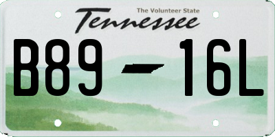 TN license plate B8916L