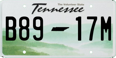 TN license plate B8917M