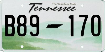 TN license plate B8917O