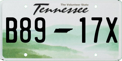 TN license plate B8917X