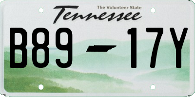 TN license plate B8917Y
