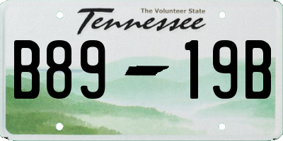 TN license plate B8919B