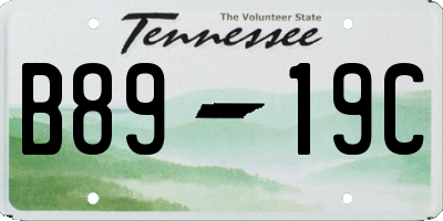 TN license plate B8919C