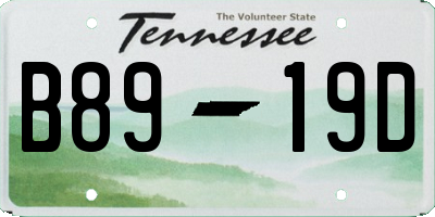 TN license plate B8919D