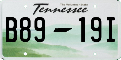 TN license plate B8919I