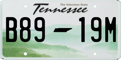 TN license plate B8919M
