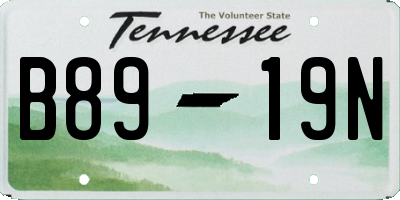 TN license plate B8919N