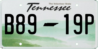 TN license plate B8919P