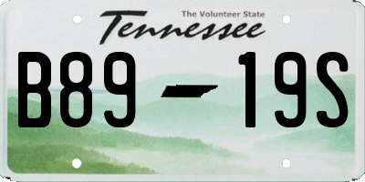 TN license plate B8919S