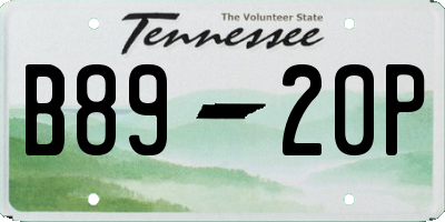 TN license plate B8920P