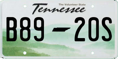 TN license plate B8920S