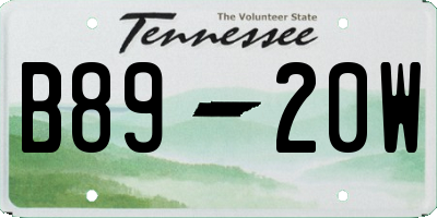 TN license plate B8920W