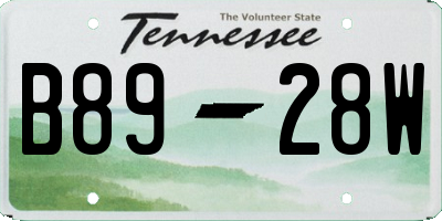 TN license plate B8928W