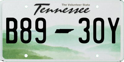 TN license plate B8930Y