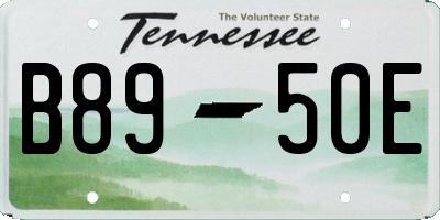 TN license plate B8950E