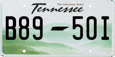 TN license plate B8950I